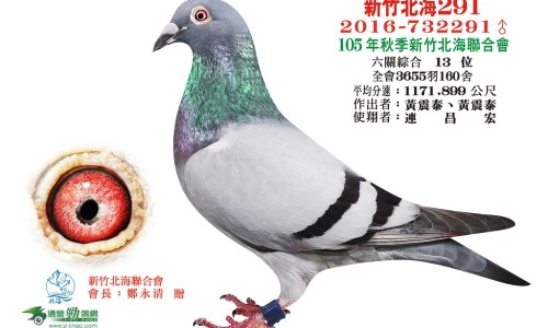 木瓜青瓜牛奶榨汁有减肥功效吗-木瓜青瓜牛奶榨汁有减肥功效吗网 | 木瓜青瓜牛奶榨汁有减肥功效吗视频,青木瓜木瓜炖牛奶怎么做
