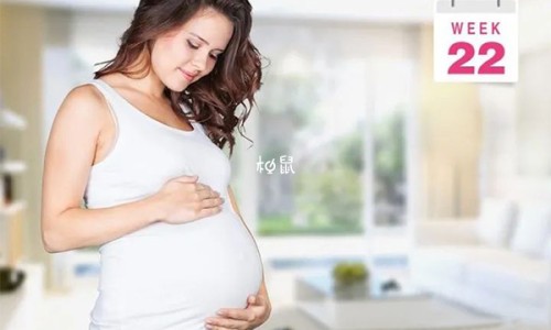 木瓜青瓜牛奶榨汁有减肥功效吗网 | 木瓜青瓜牛奶榨汁有减肥功效吗视频,青木瓜木瓜炖牛奶怎么做